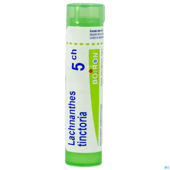 Lachnanthes tinctoria   5ch gr boiron