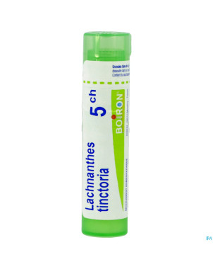 Lachnanthes tinctoria   5ch gr boiron