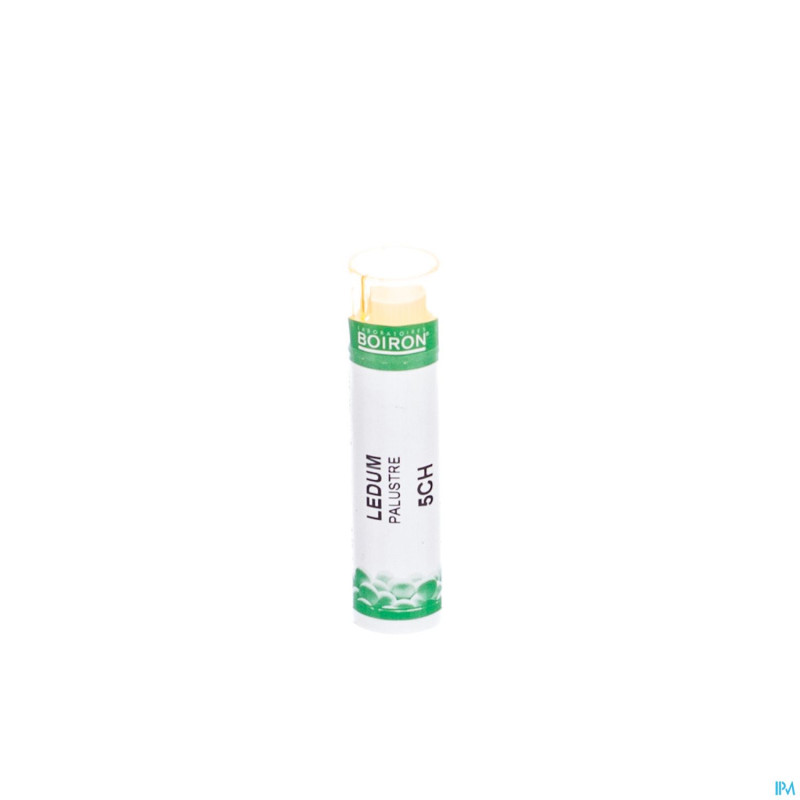 Ledum palustre    5ch gr boiron