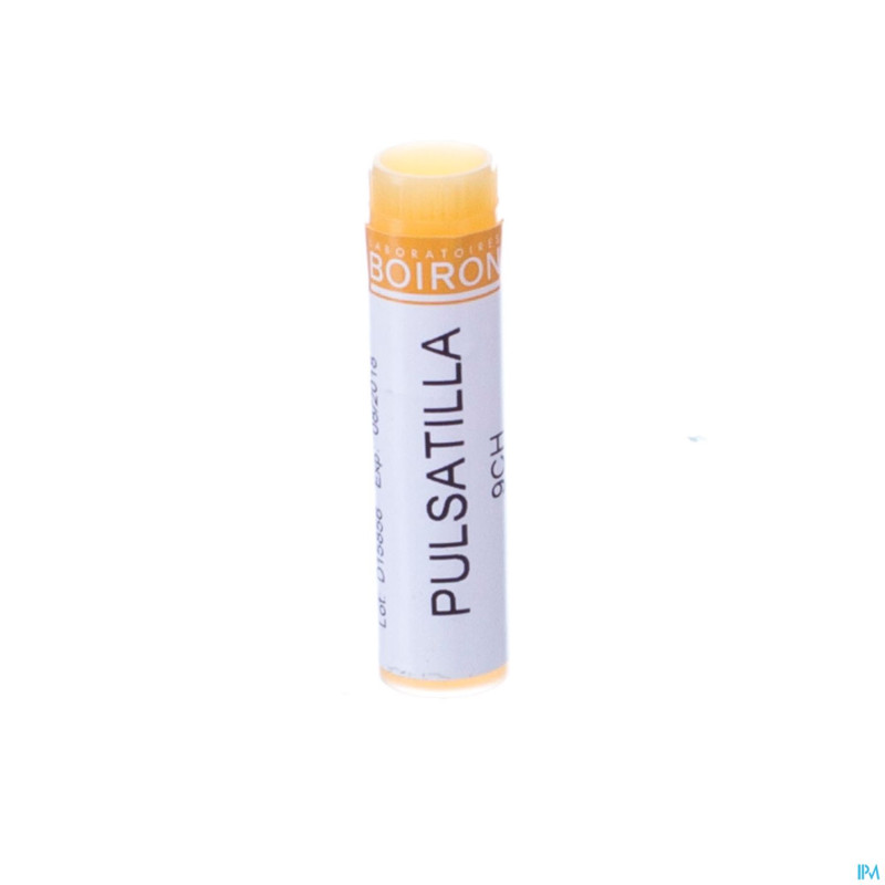 Pulsatilla    9ch gl boiron