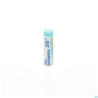 Rhus toxicodendron    200k gl boiron