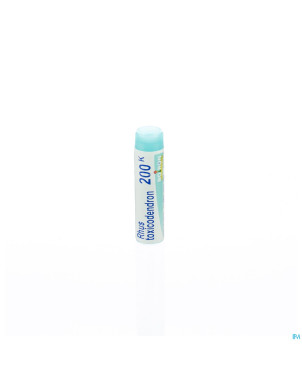 Rhus toxicodendron    200k gl boiron