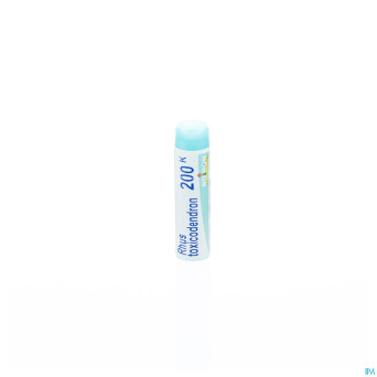 Rhus toxicodendron    200k gl boiron