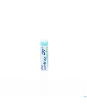 Rhus toxicodendron    200k gl boiron