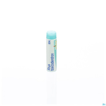 Rhus toxicodendron    mk gl boiron