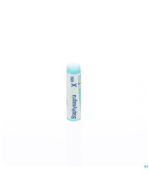 Staphysagria    xmk gl boiron