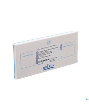 Thuya occidentalis cure  6k-mk boiron