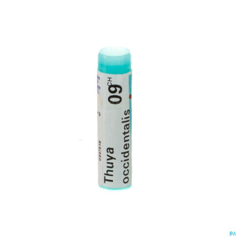 Thuya occidentalis    9ch gl boiron