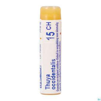 Thuya occidentalis    15ch gl boiron