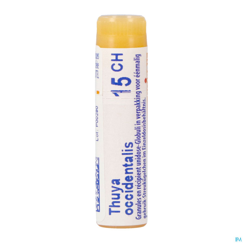 Thuya occidentalis    15ch gl boiron