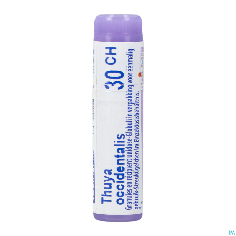 Thuya occidentalis    30ch gl boiron