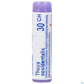 Thuya occidentalis    30ch gl boiron