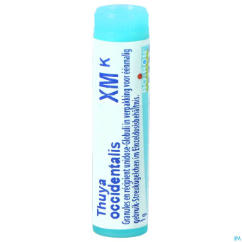 Thuya occidentalis    xmk gl boiron