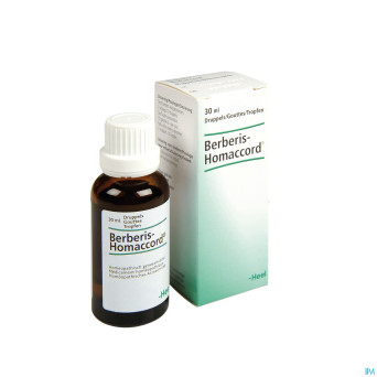 Berberis-homaccord  gutt  30ml heel