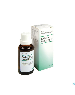 Berberis-homaccord  gutt  30ml heel