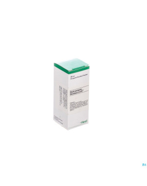 Dulcamara-homaccord gutt  30ml heel
