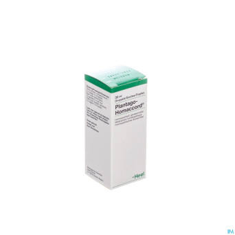 Plantago-homaccord  gutt  30ml heel