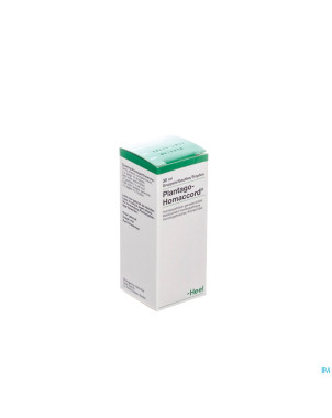 Plantago-homaccord  gutt  30ml heel
