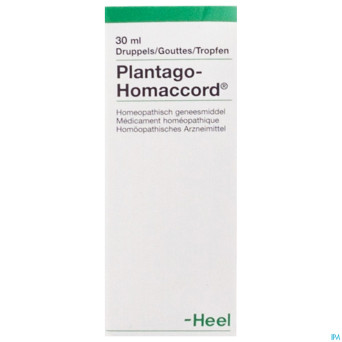Plantago-homaccord  gutt  30ml heel