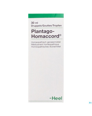 Plantago-homaccord  gutt  30ml heel