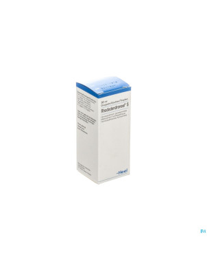 Rhododendroneel s   gutt  30ml heel