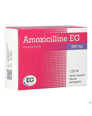 Amoxicilline eg caps 16 x 500 mg