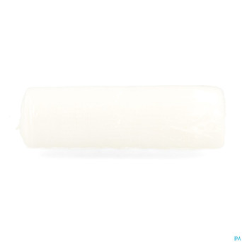 Ipansyl elastyl bande de gaze elast 10cmx4m  1