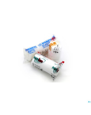 Ipansyl elastyl bande de gaze elast 10cmx4m  1