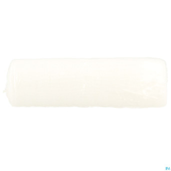 Ipansyl elastyl bande de gaze elast 10cmx4m  1