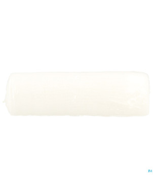 Ipansyl elastyl bande de gaze elast 10cmx4m  1