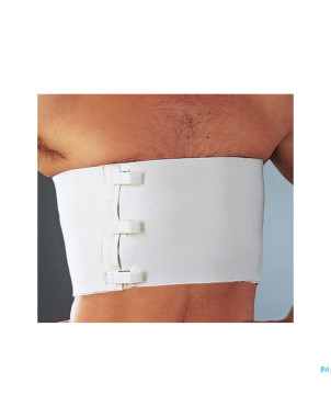 Cemen bande ceint.thorax-ventre blanc 18cmx2,50m 1