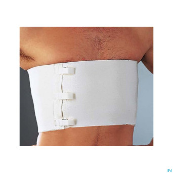 Cemen bande ceint.thorax-ventre blanc 25cmx2,50m 1