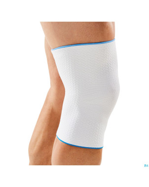 Bota plus genou  wh  xl