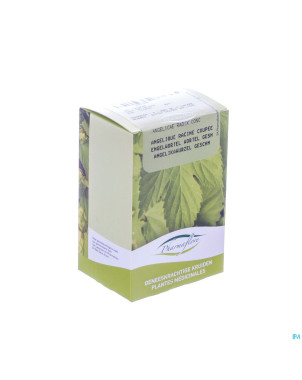 Angelique racine boite    250g pharmafl