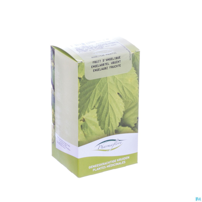 Angelique fruit boite    100g pharmafl