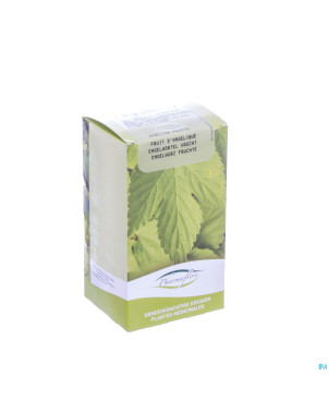 Angelique fruit boite    100g pharmafl