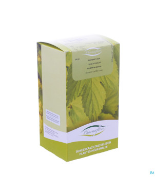 Chene ecorce boite    250g pharmafl