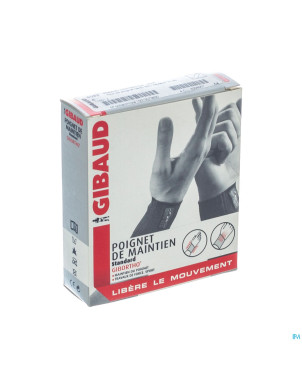 Gibaud poignet contention h10 chair  19-21 t4 6093