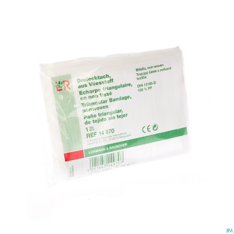 Echarpe triangulaire n/tisse    96x96x136 1 14970