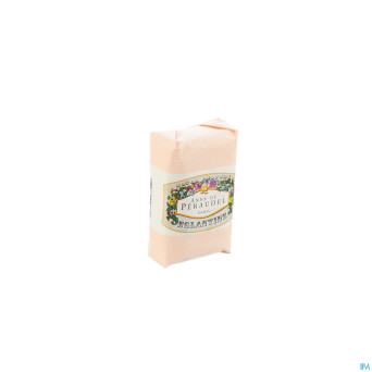 Klorane anne de peraudel savon eglantine    100g