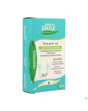 Feuille saule emplatre cors 9