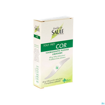 Feuille saule emplatre cors 9