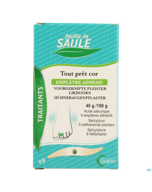 Feuille saule emplatre cors 9