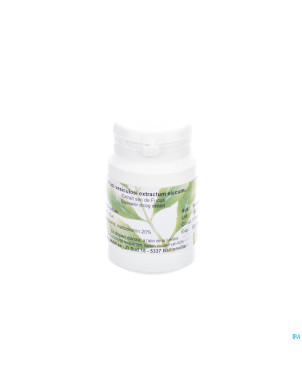 Tilman fucus extrait sec nebul  25g