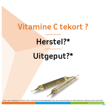 Revitalose c 1000 amp sol orale 14 x (i+ii)