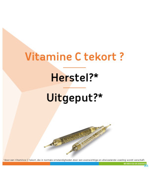 Revitalose c 1000 amp sol orale 14 x (i+ii)