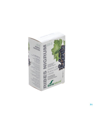Soria soricapsule single n23-s ribes nigrum    60