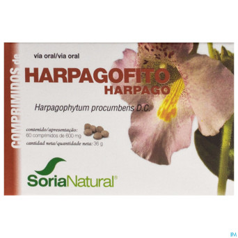 Soria soricapsule single n24-s harpagophyt.proc.60