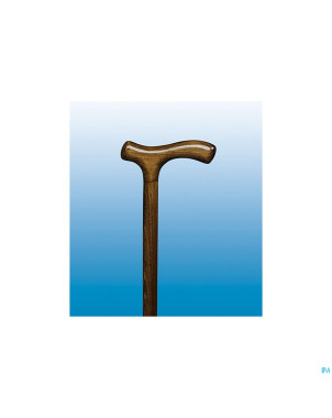 Bota canne n 2 fritz brun