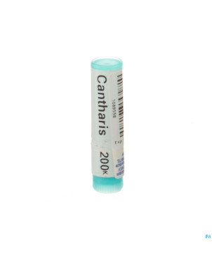 Cantharis    200k gl boiron